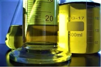 乙醇汽油將至,你的車 酒量 過關嗎