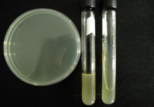 上海 乙醇產(chǎn)品 乙醇價格第107頁